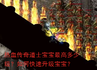 热血传奇道士宝宝最高多少级?如何快速升级宝宝? 热血传奇道士宝宝最高多少级?如何快速升级宝宝?