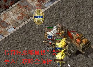 ����˽�������ң��������Ź���ȫ����