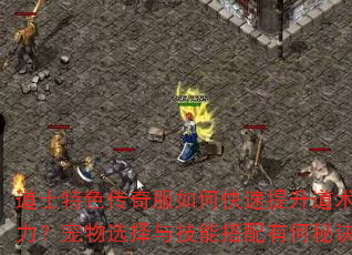 道士特色传奇服如何快速提升道术攻击力?宠物选择与技能搭配有何秘诀? 道士特色传奇服如何快速提升道术攻击力?宠物选择与技能搭配有何秘诀?