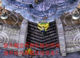 �¿����䴫��˽����ο����������ȡ����װ����