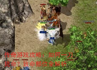 传奇游戏攻略:如何一刀毙命?致命部位全解析 传奇游戏攻略:如何一刀毙命?致命部位全解析