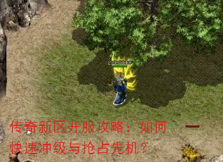 传奇新区开服攻略:如何快速冲级与抢占先机? 传奇新区开服攻略:如何快速冲级与抢占先机?