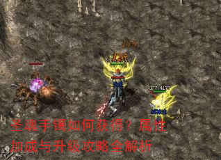 圣魂手镯如何获得?属性加成与升级攻略全解析 圣魂手镯如何获得?属性加成与升级攻略全解析