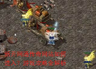 新开网通传奇网站如何进入?游戏攻略全解析 新开网通传奇网站如何进入?游戏攻略全解析