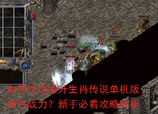 如何快速提升生肖传说单机版角色战力?新手必看攻略解析 如何快速提升生肖传说单机版角色战力?新手必看攻略解析