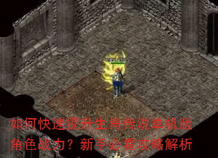 如何快速提升生肖传说单机版角色战力?新手必看攻略解析 如何快速提升生肖传说单机版角色战力?新手必看攻略解析